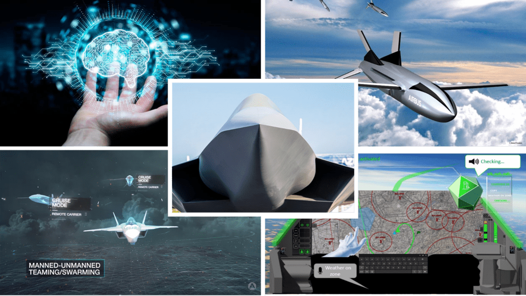 The Role of the Human in Systems of Systems: Example of the French Future Combat Air System