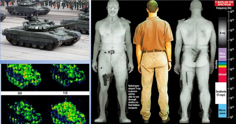 Terahertz Technologies and Future Security Environments