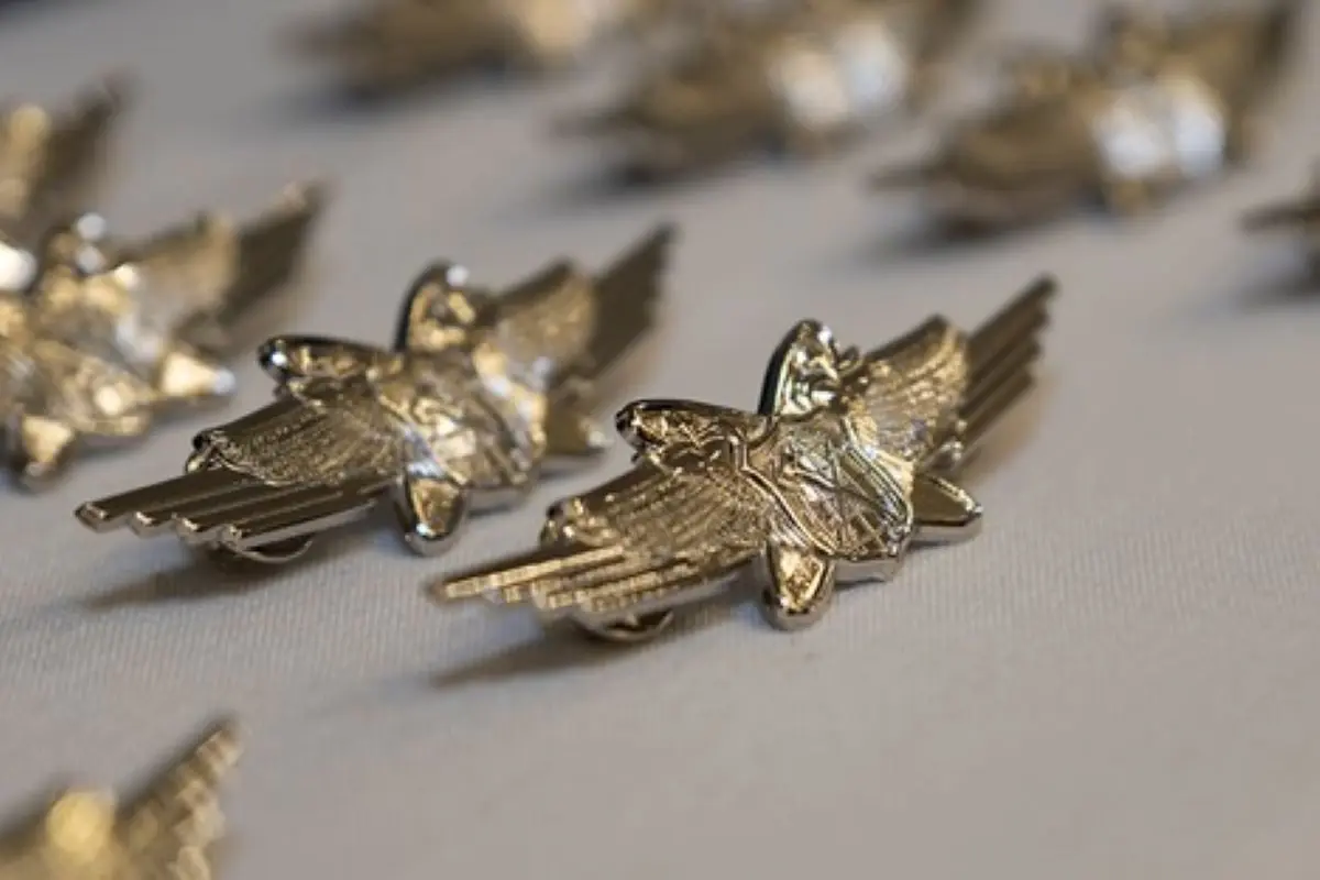 Symbolism, Serendipity, and Strategic Wisdom: The Origin Story of a New Set of Wings
